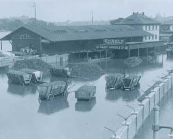 Janvier 1932 : l'Elbe déborde près de Dresde (Archives fédérales, photo 102-12896, photo anonyme non datée)