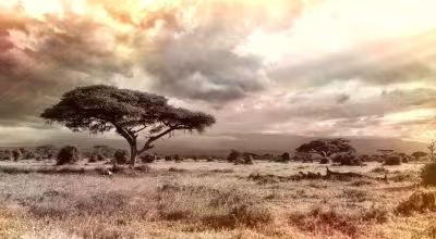 Afrique