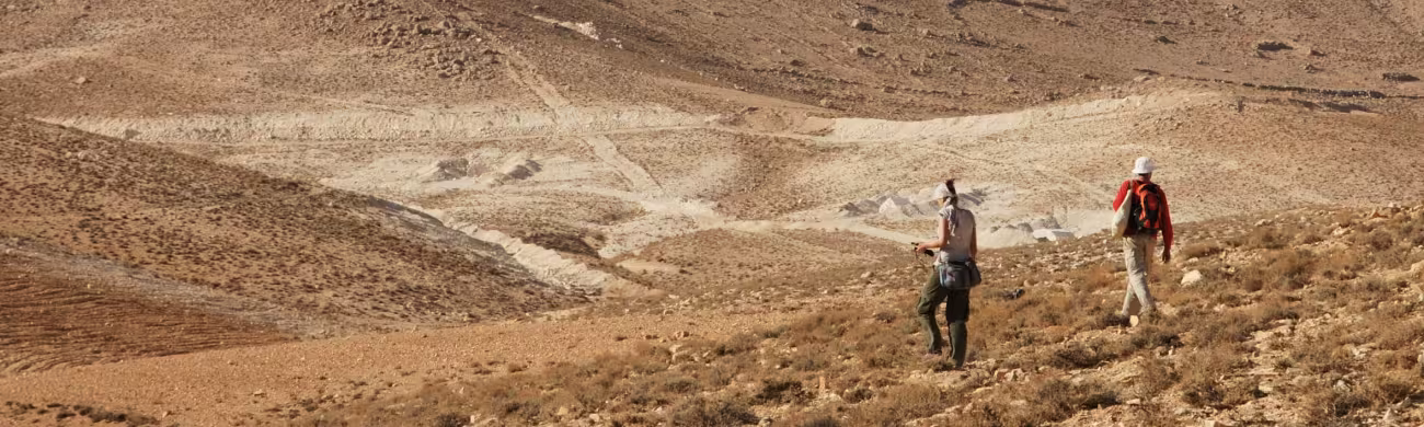 réseau de diplômés