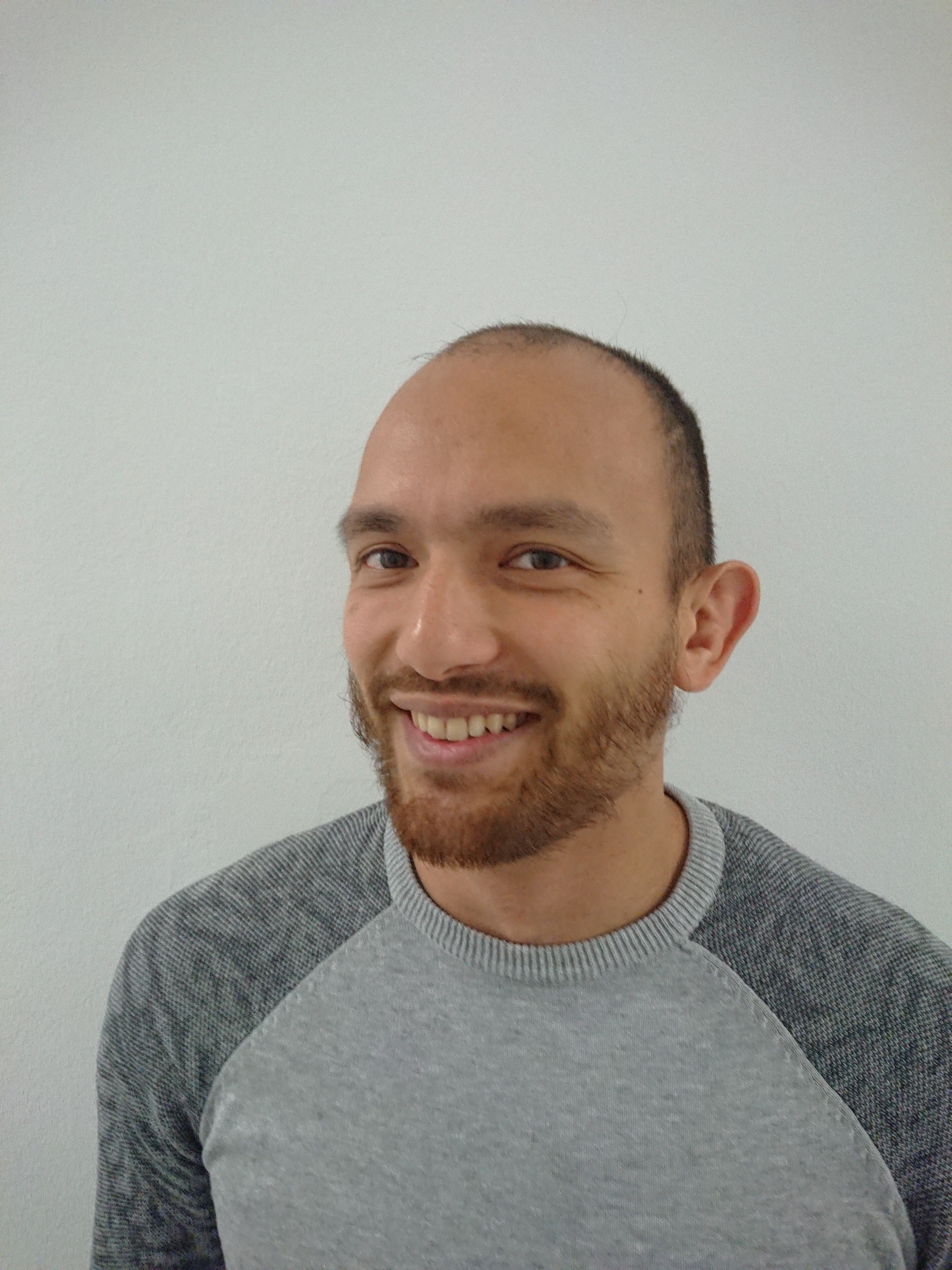 Profile picture for user hoelzchen