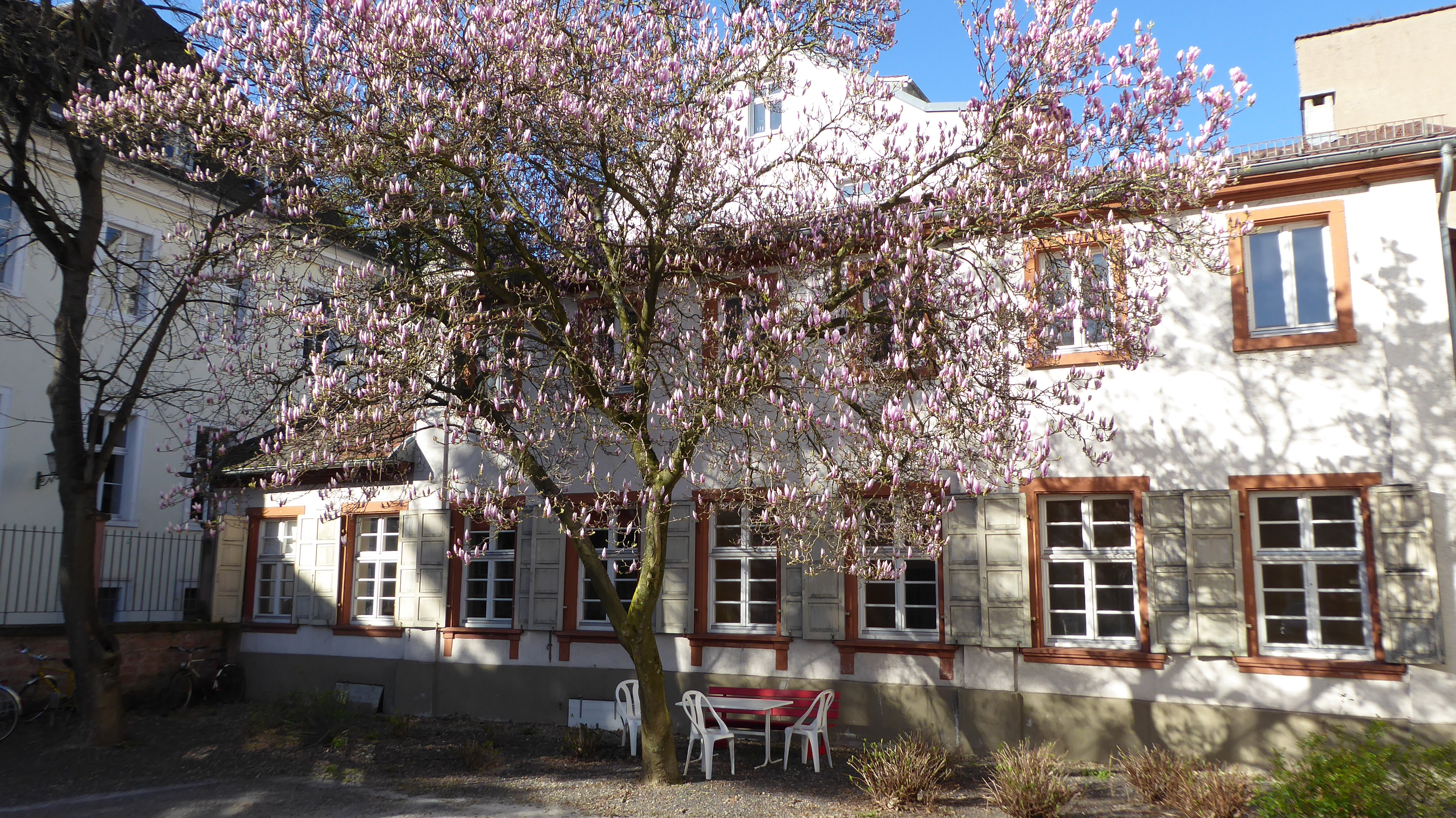 Profile picture for user mundhenk